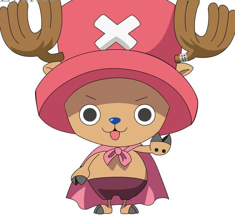 Chopper One Piece Cosplay Hat Anime Manga Plush Soft Stuffed Kawaii Japan