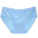 Little Briefs (Up To 3XL) underwear DDLG Playground 